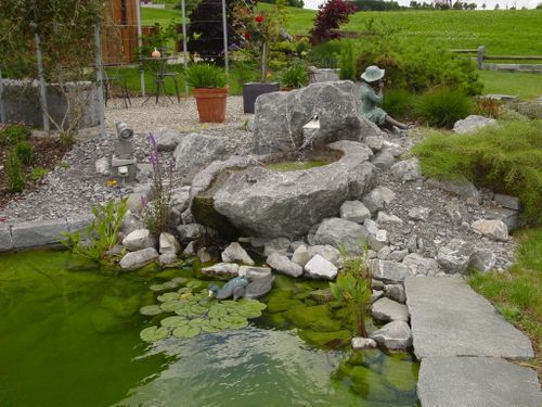 Nägele & Bösch Gartenbau - Teich mit Wasserpflanzen und Rasen