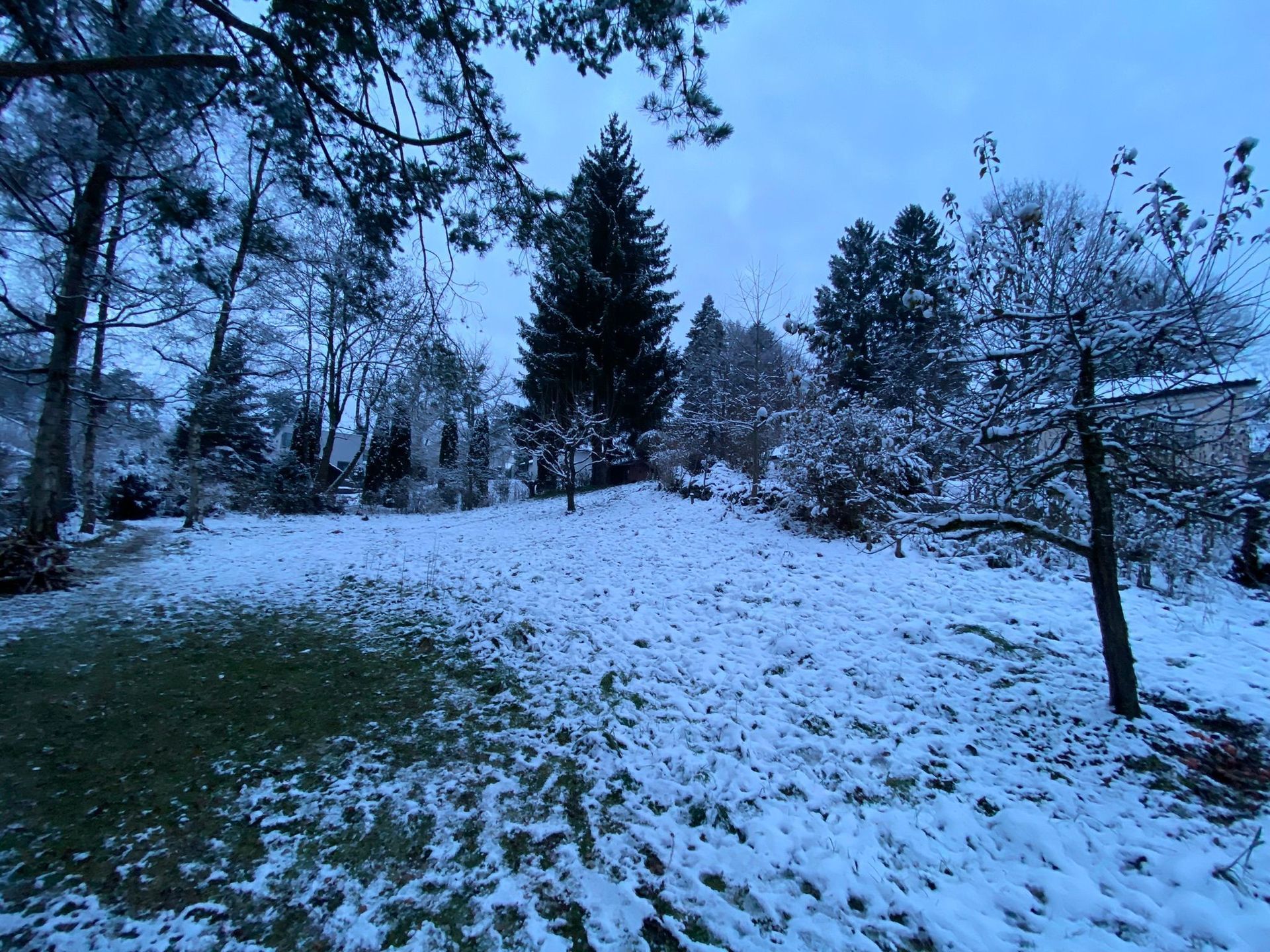 Nägele & Bösch Gartenbau GmbH