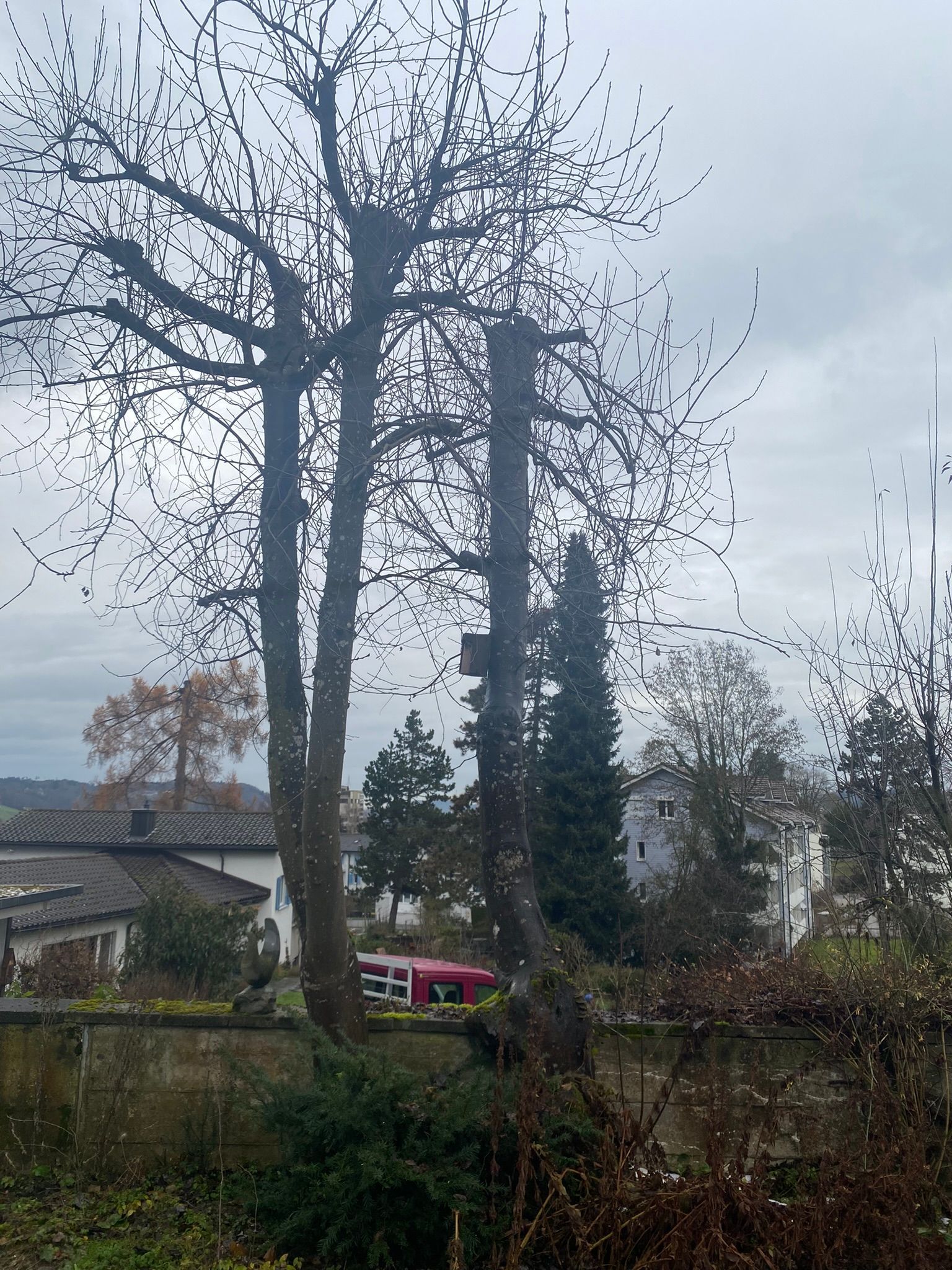 Nägele & Bösch Gartenbau GmbH