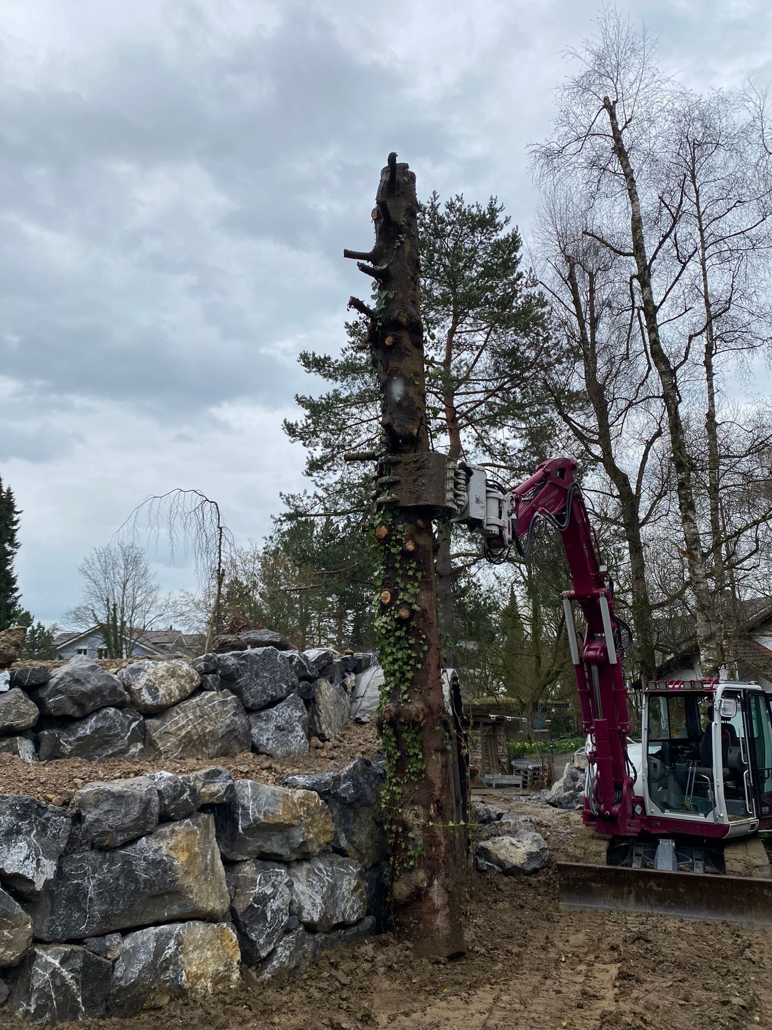 Nägele & Bösch Gartenbau GmbH