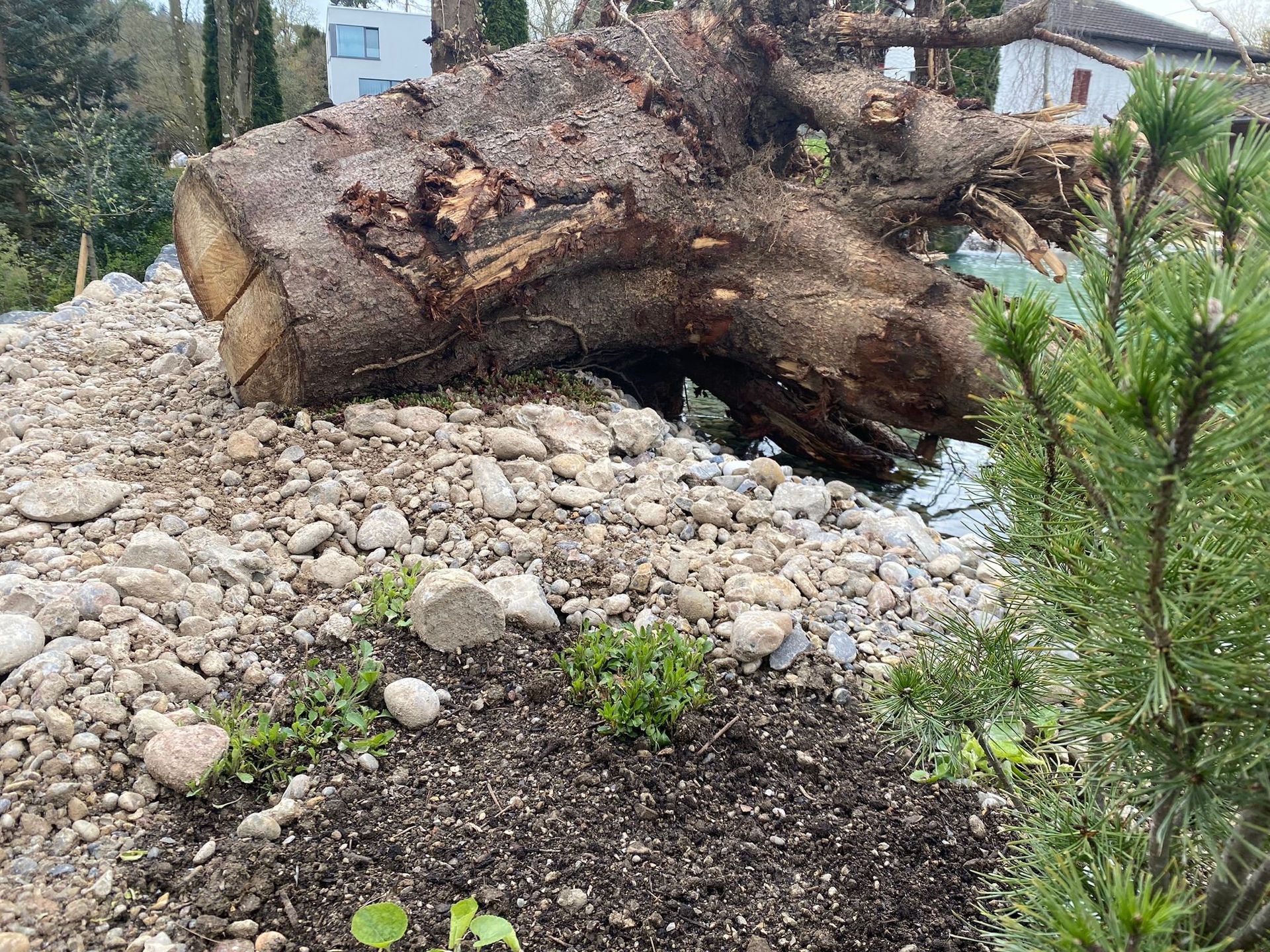 Nägele & Bösch Gartenbau GmbH