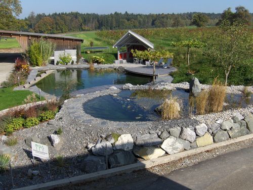 Nägele & Bösch Gartenbau - Teich mit Wasserpflanzen und Steinmauer