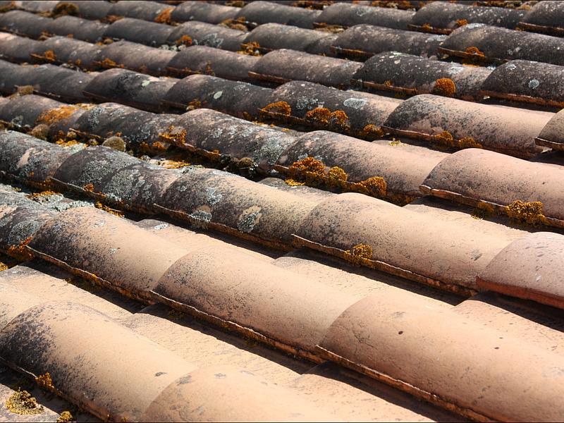 Nettoyage de toitures à Bordeaux