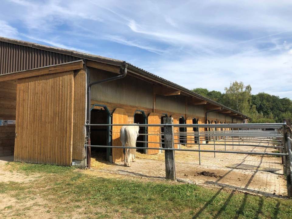 Pferdestall mit Freilauf