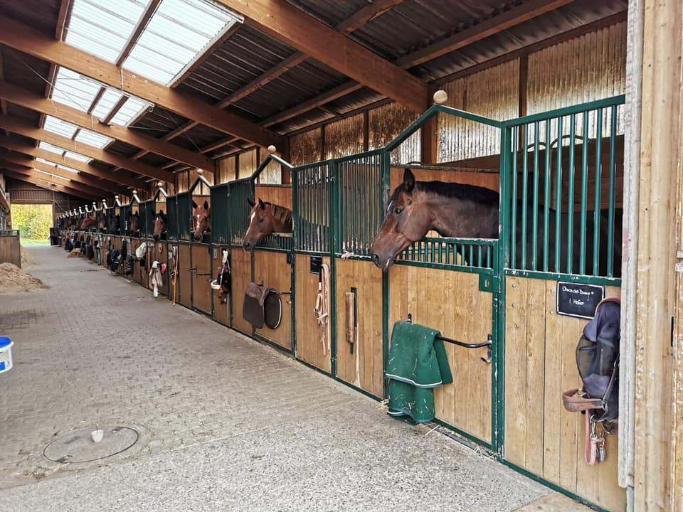 Pferdestall von innen