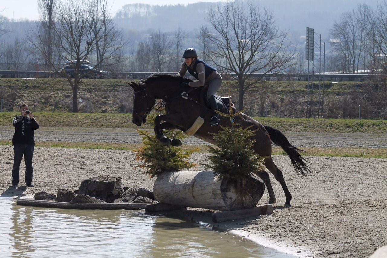 Reiterin mit Pferd springt