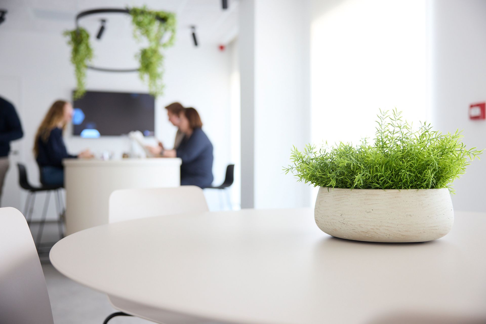 Moderne vergaderruimte op kantoor met mensen die aan een witte tafel zitten te praten en een klein groen potplantje op de voorgrond.