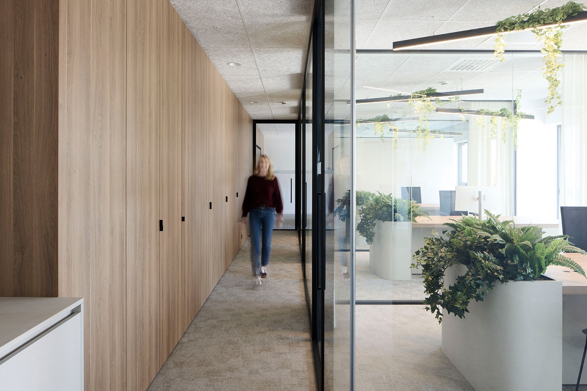 Moderne kantoorhal met houten lambrisering, glazen wanden, planten en iemand die door de gang loopt
