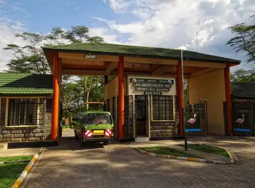 A green car is parked in front of a building.