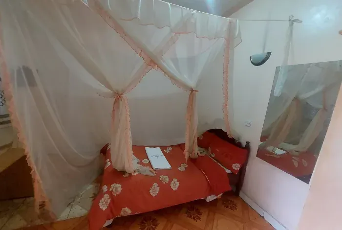 A bedroom with a canopy bed and a mirror.