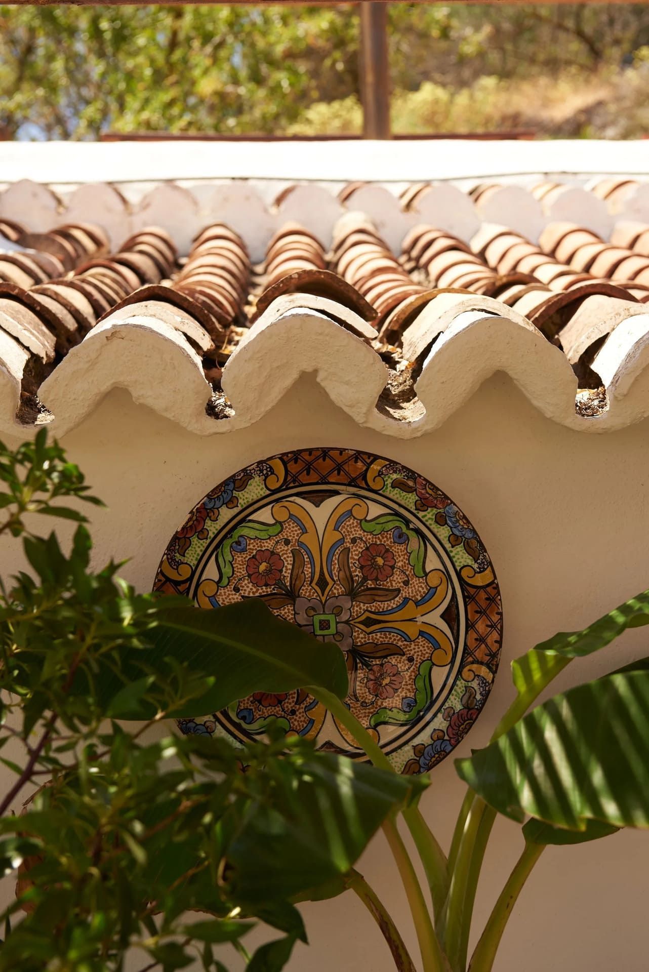 Plato decorativo sobre una pared blanca bajo un techo de tejas, con plantas verdes en primer plano.