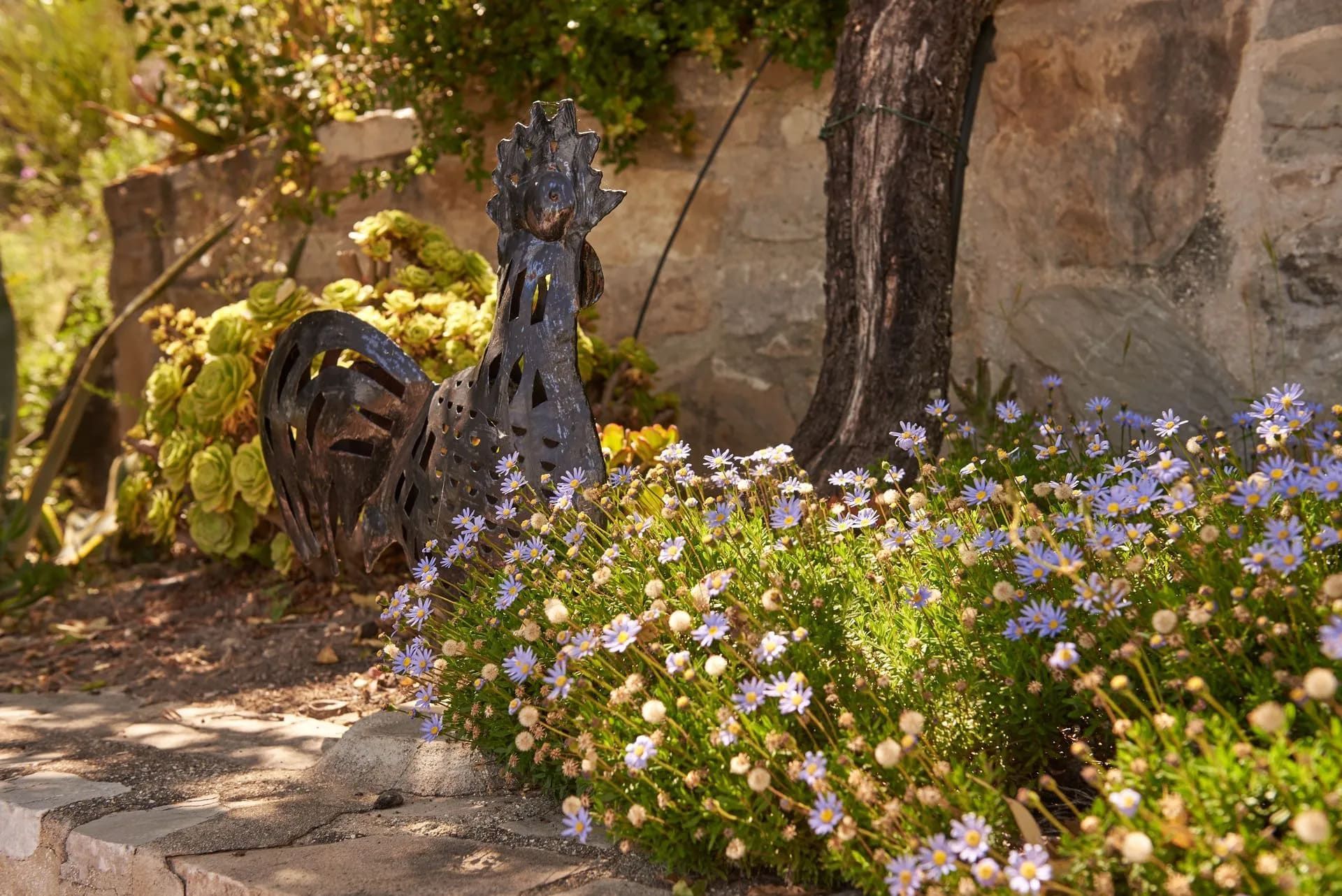Escultura de gallo de metal en un macizo de jardín con pequeñas flores azules y un muro de piedra.