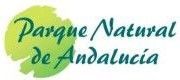Logotipo del 