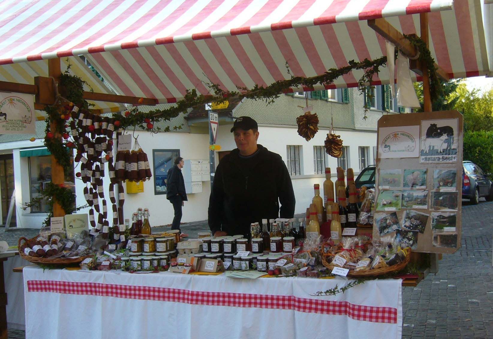 Umgebung - Diräkt vom Niederstad - Alpnachstad