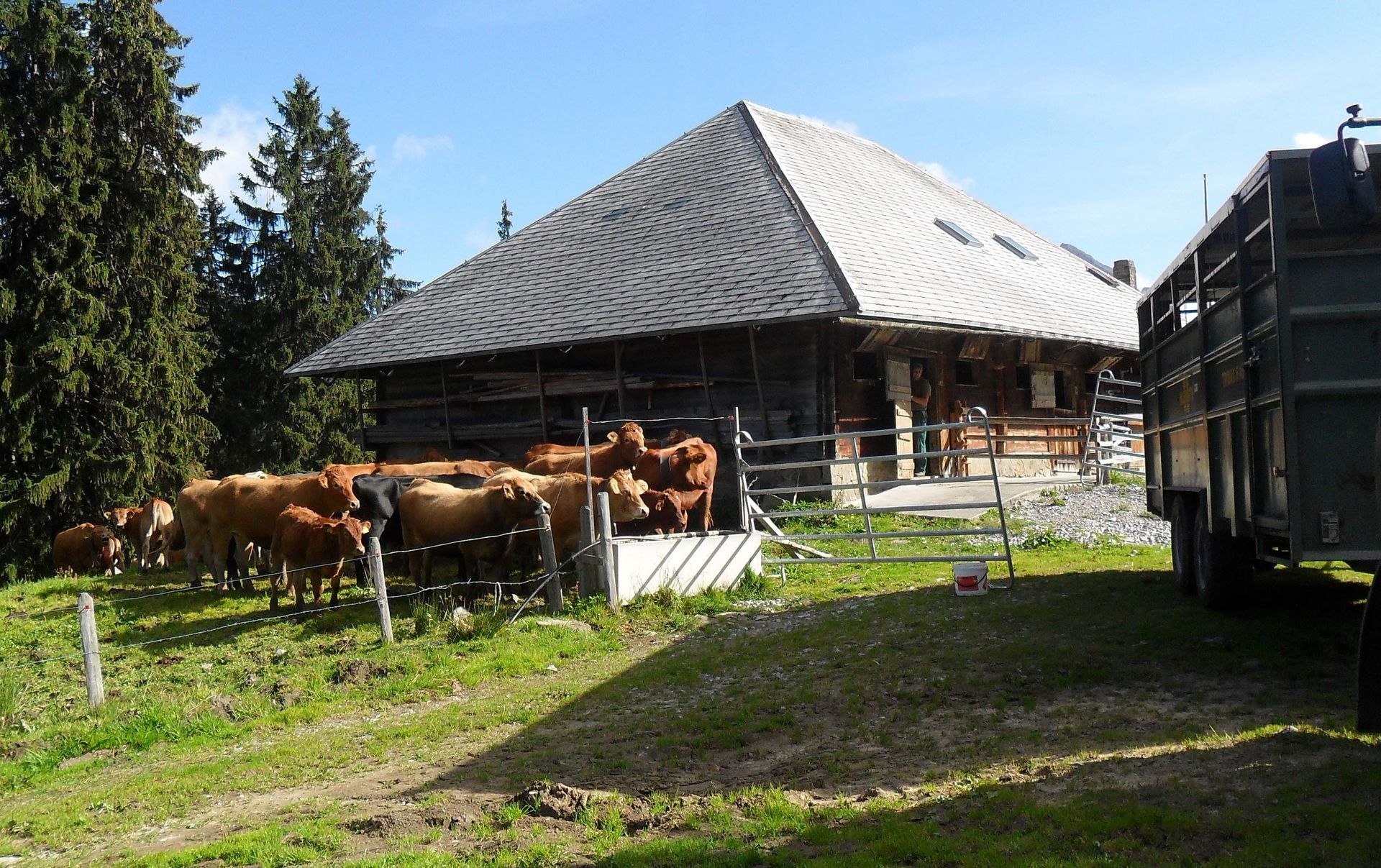 Alphütte - Diräkt vom Niederstad - Alpnachstad