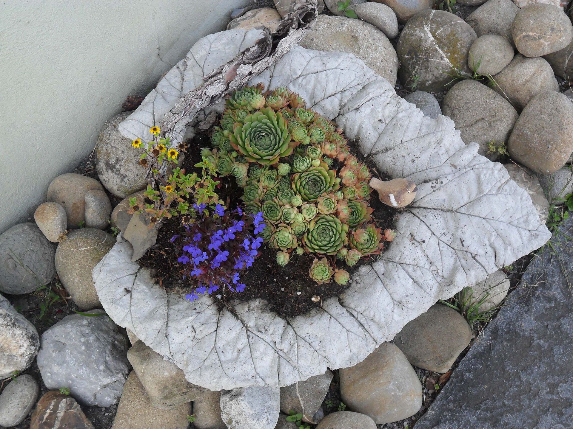 Blumen - Diräkt vom Niederstad - Alpnachstad