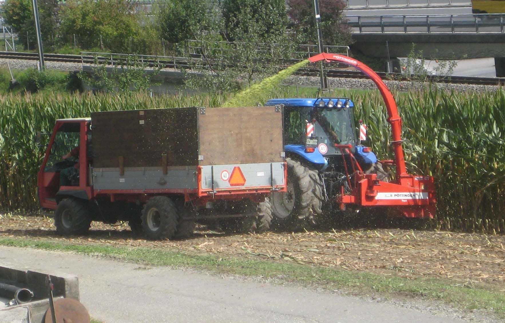 Mais - Diräkt vom Niederstad - Alpnachstad