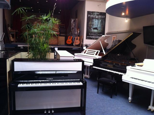 Pianos numériques - La Maison du Piano à Rouen