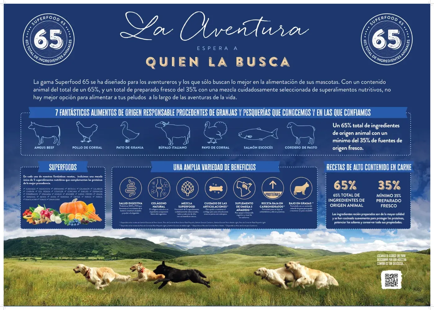 A poster that says la aventura quien la busca on it