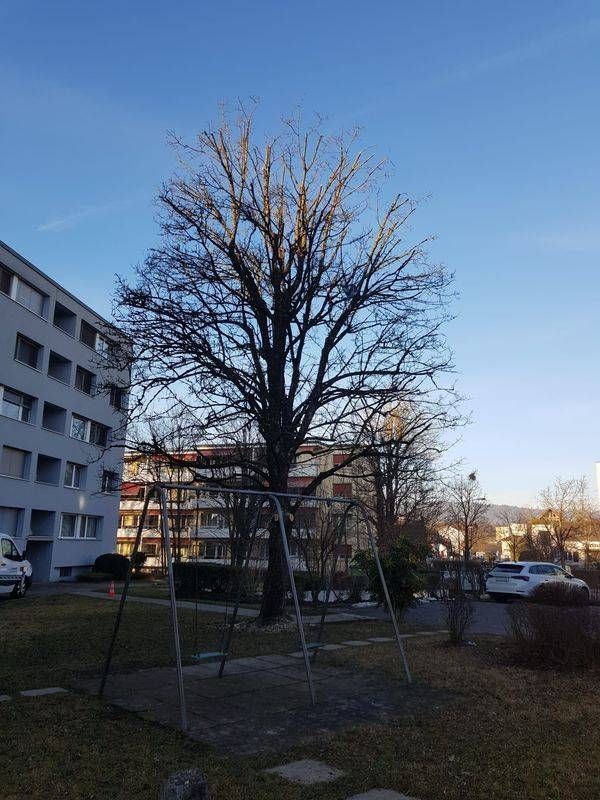 Köchli Hauswartungen AG