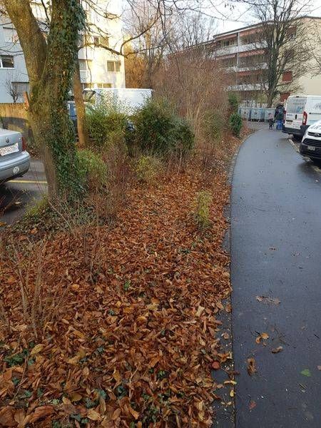 Köchli Hauswartungen AG