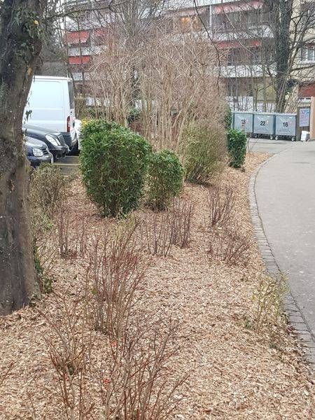 Köchli Hauswartungen AG