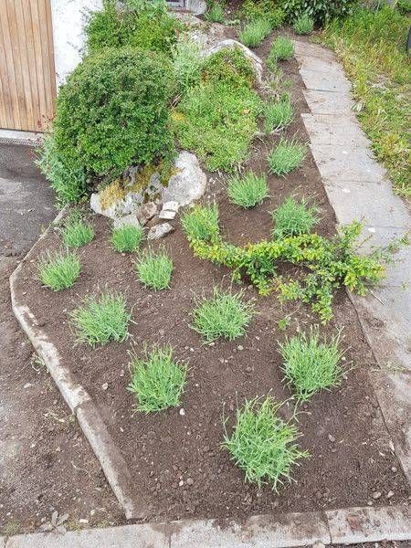 Köchli Hauswartungen AG