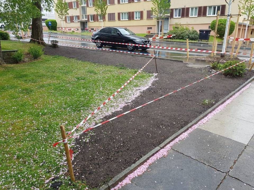 Köchli Hauswartungen AG