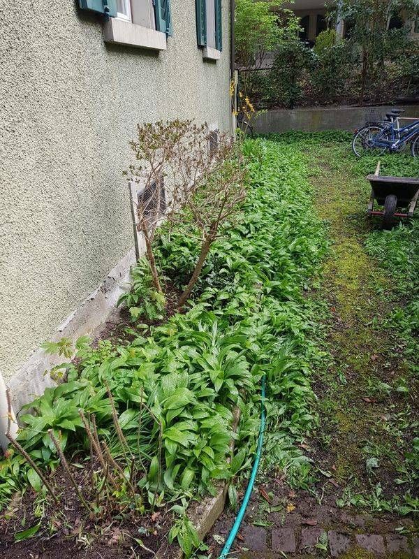 Köchli Hauswartungen AG