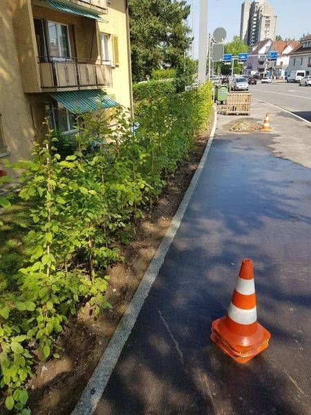 Köchli Hauswartungen AG