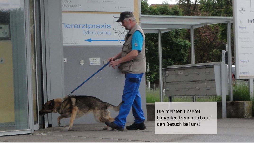 Dr. Daniel Kuhn leitet die Tierarztpraxis und betreut alle Patienten persönlich.