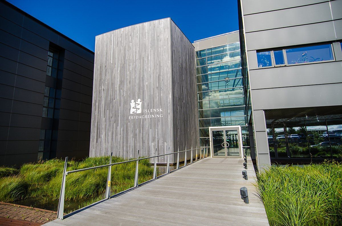 Electrical Install at Office