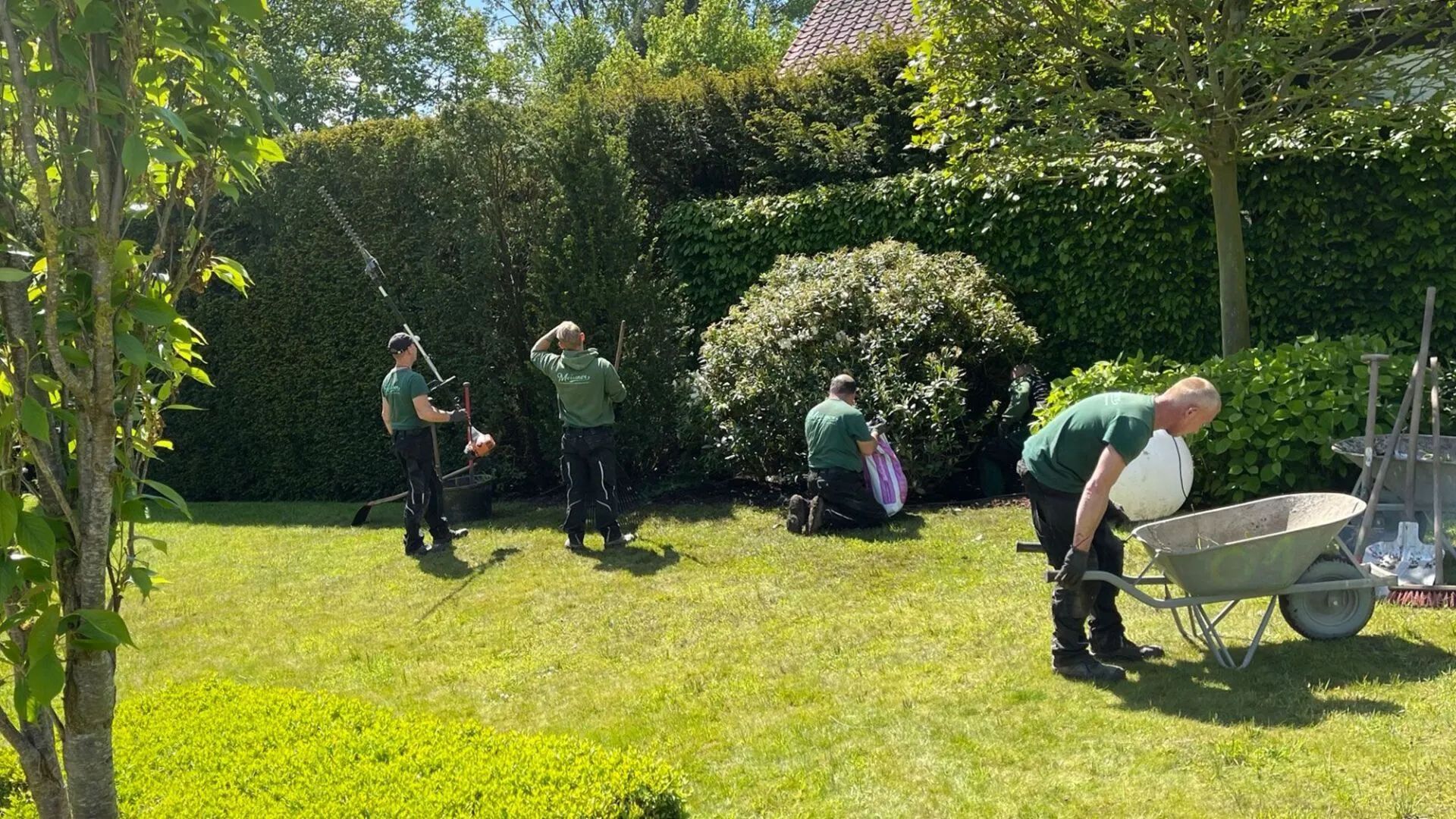 Ein Mann schneidet mit einer Kettensäge eine Hecke.