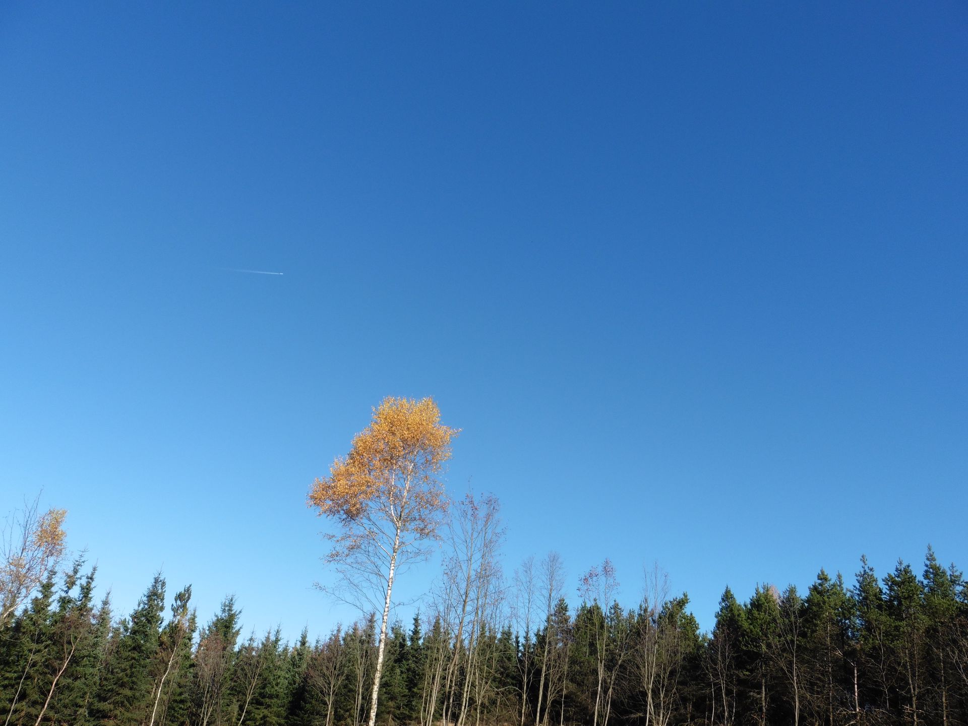 Blauer Himmel mit Sonnenschein und ein paar Wolken