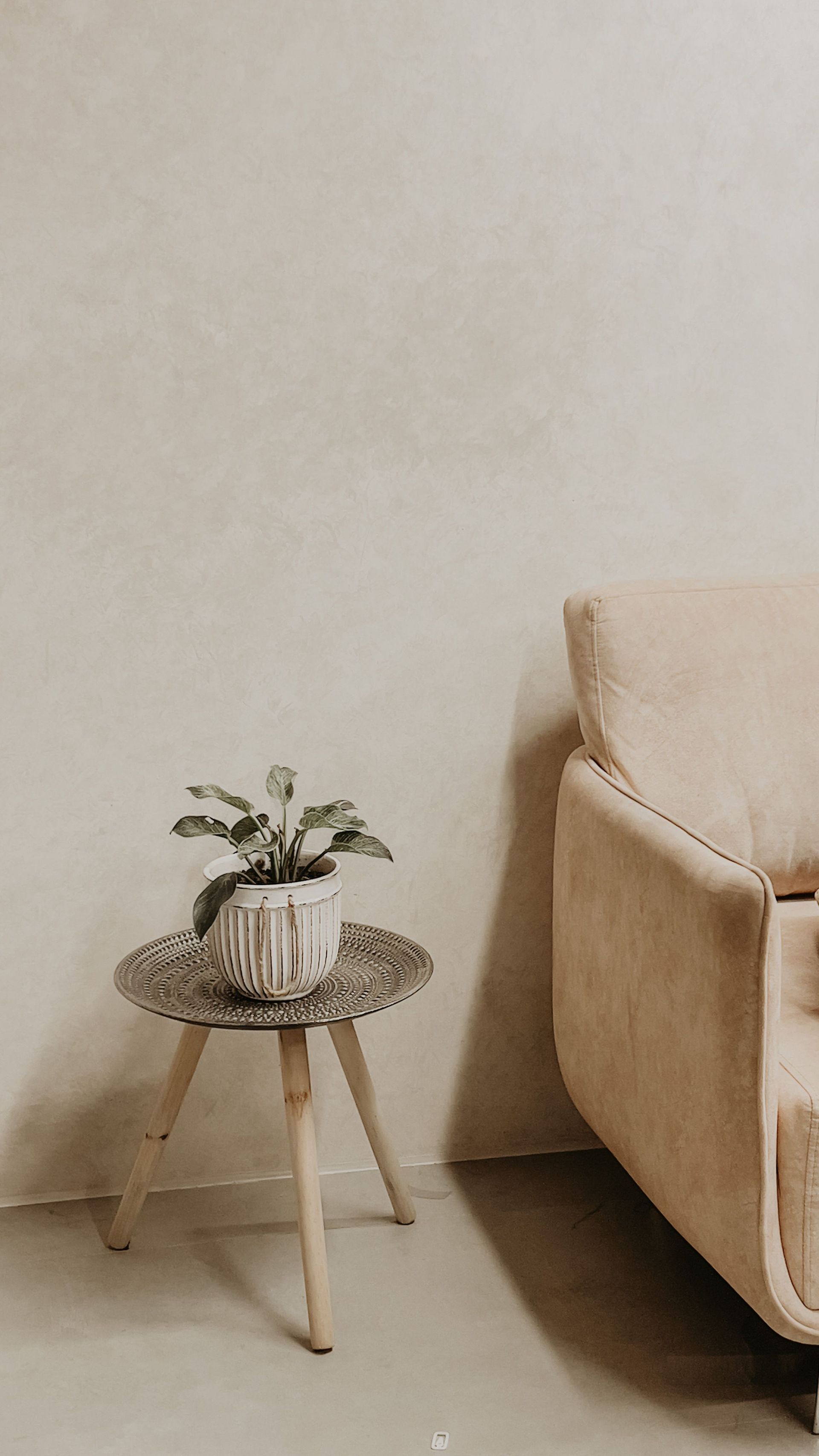 Petite table d'appoint ronde avec une plante à côté d'un canapé beige.