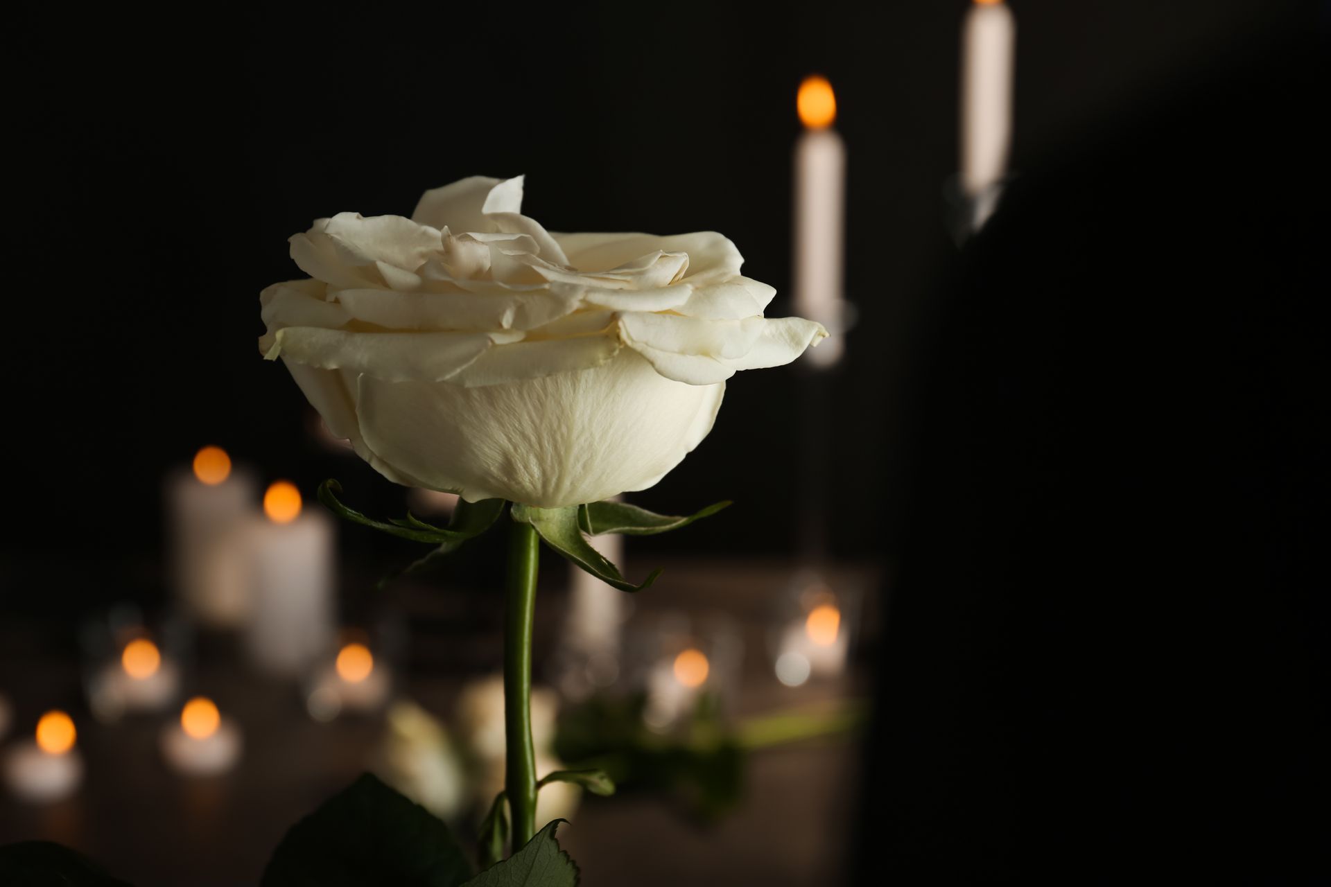 Funerária Oliveirense 