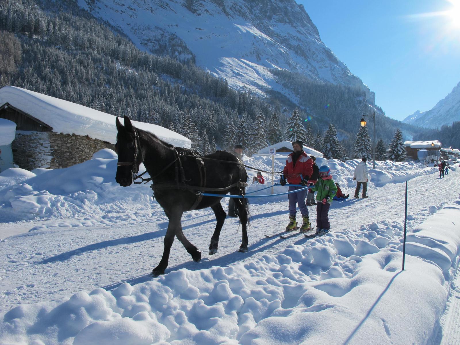 Ski tracté au Ranch de L'Ancolie en Savoie (73)