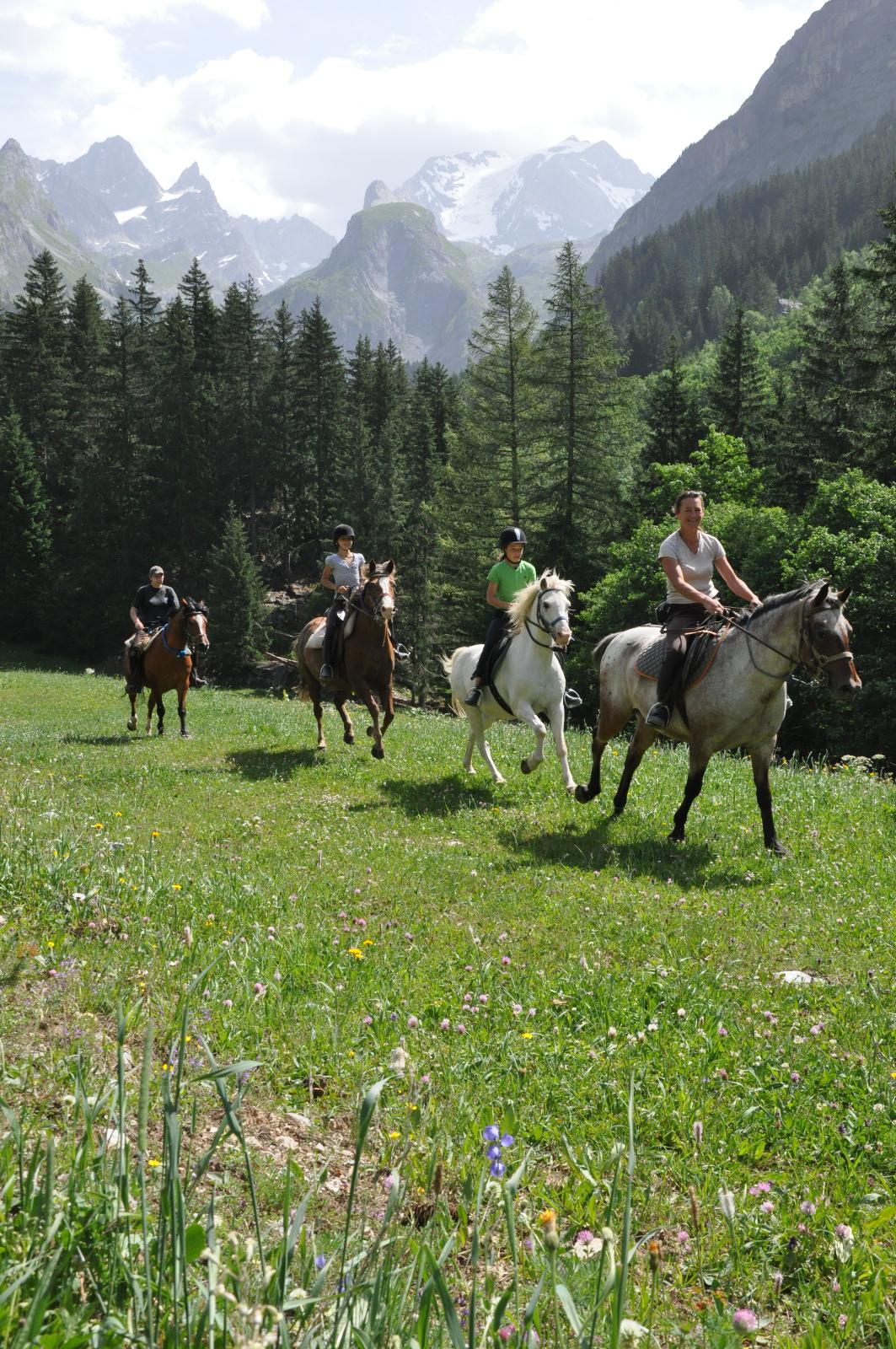 Galop de Cholière Le Ranch de L'Ancolie en Savoie (73