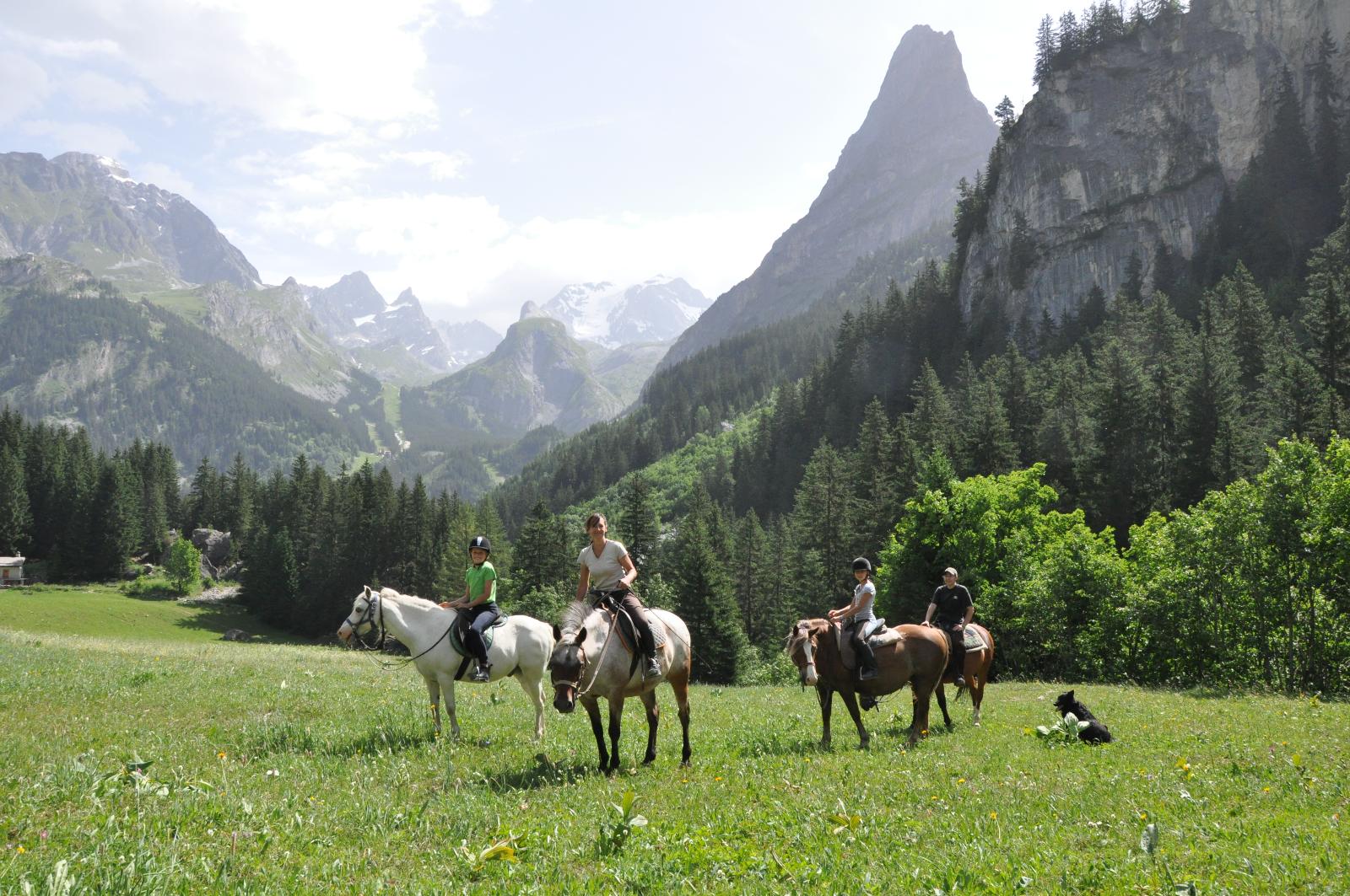 Le Ranch de L'Ancolie en Savoie (73)