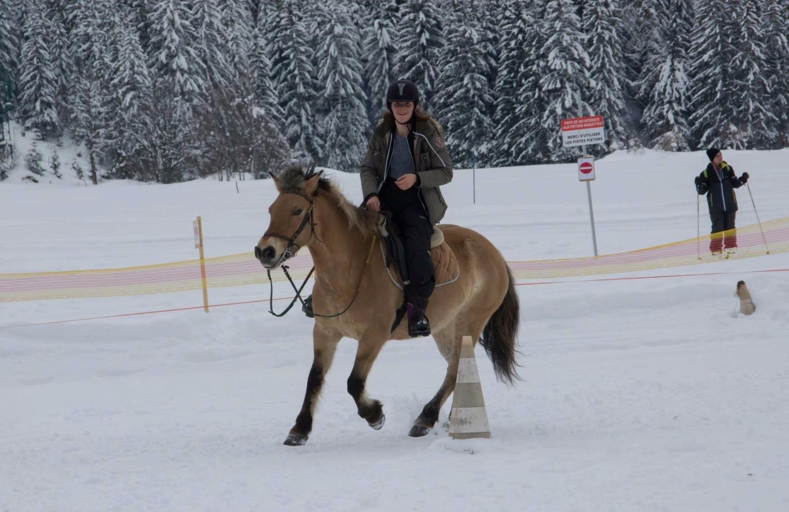 cour d'équitation et ballade à cheval  hiver comme été