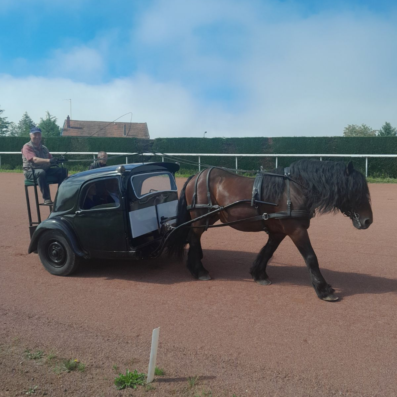 Une calèche avec un cheval