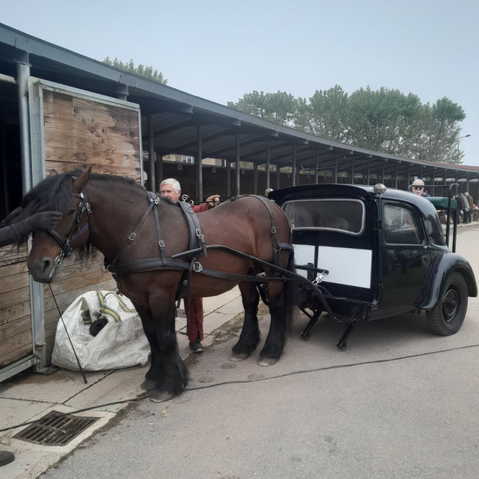 Une calèche devant des écuries