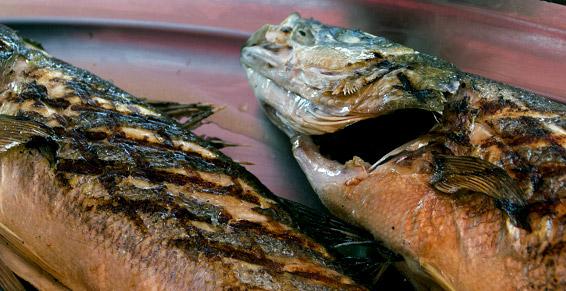 Poisson grillé