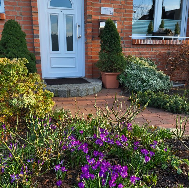 Dr. med. Helga D. Wilke
Psychotherapeutin 