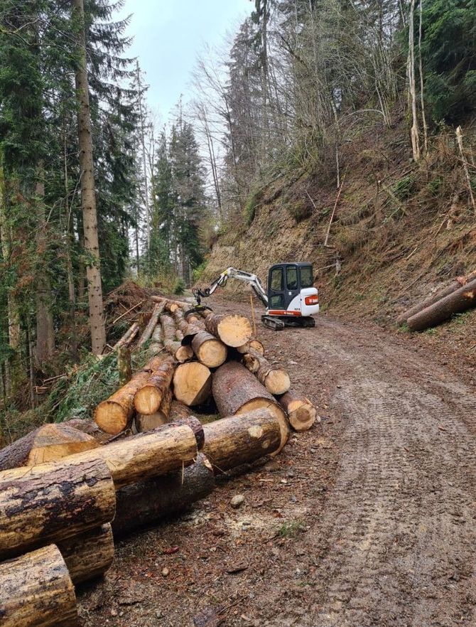 Forst - Felder Forst & Tiefbau in Menznau