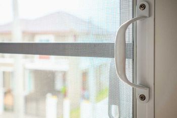 Nahaufnahme Insektenschutz an einem Fenster