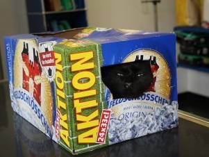 Kleintierpraxis Lyssbach GmbH