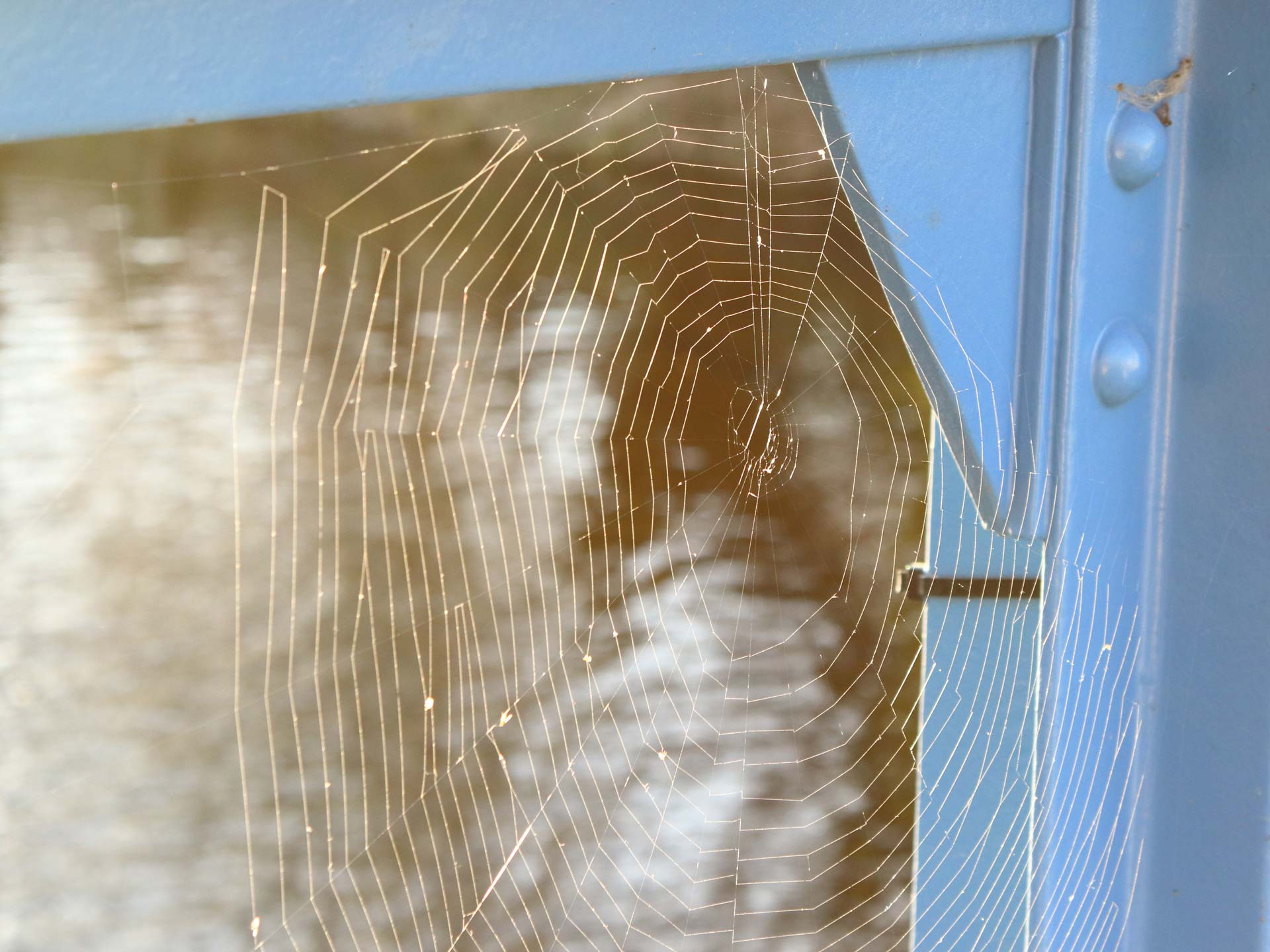 Une toile d'araignée construite sur un coin de fenêtre