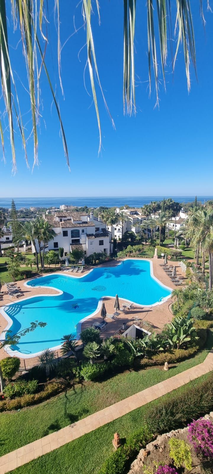 Una vista aérea de una gran piscina con vista al océano.