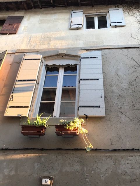 Volet doubles à la provençale et feston moulure